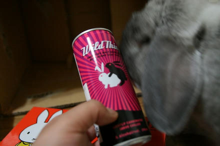 ワイルドや！！