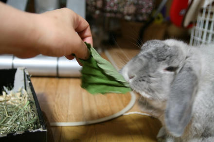 オレにも