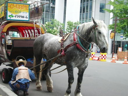 馬車