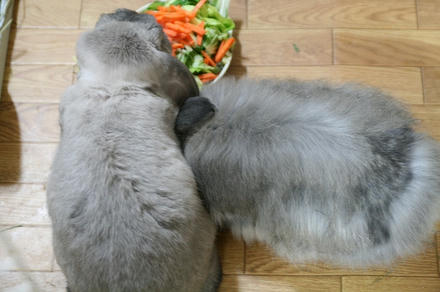 仕返し！？
