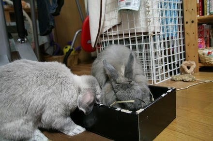 一緒に