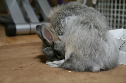 もぐもぐ