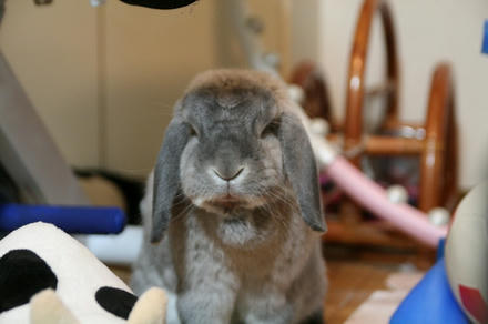 昨日の