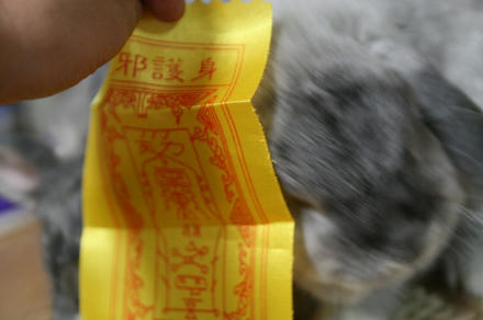 キョンシーちゃうで！！
