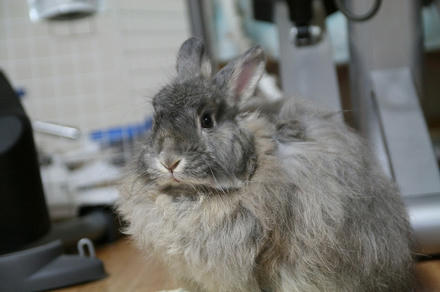 週末は