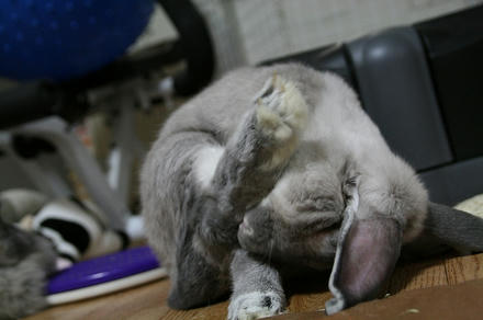 足の裏が