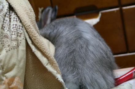 ひさしぶりでちゅ