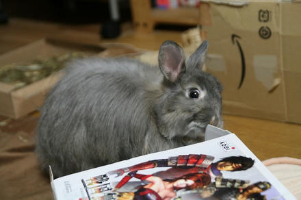 こうちてやりまちゅ