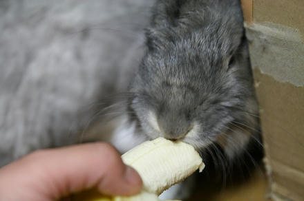 おいちいでちゅ～