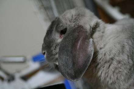 おかえり