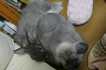 今日も