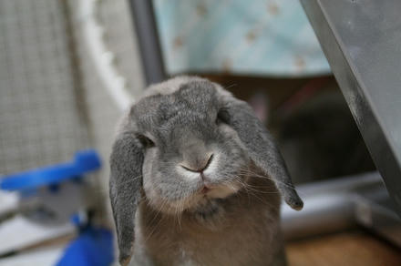 そういえば