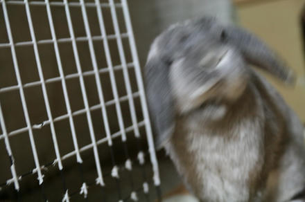 うお～