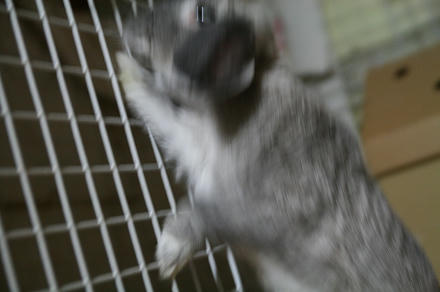 踊るでぇ～