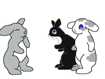 ５