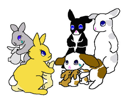 ４