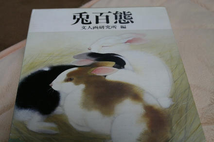 兎の本