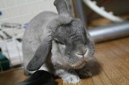 オレからも