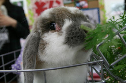 そらちゃん