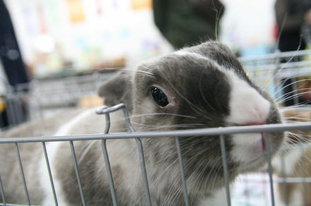 にっこり