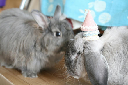 3段重ねや！