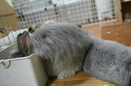 座ってまちゅ
