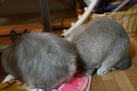 こっちで