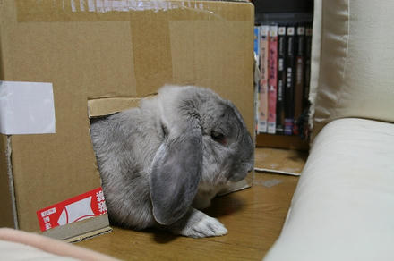 うとうと