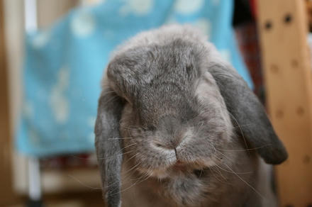 1歳のときから