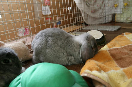 目ぇが