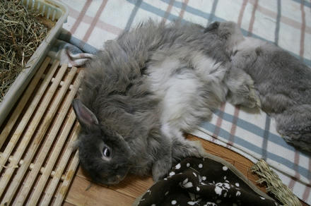お尻と足は