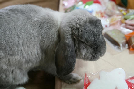 おかあちゃんと