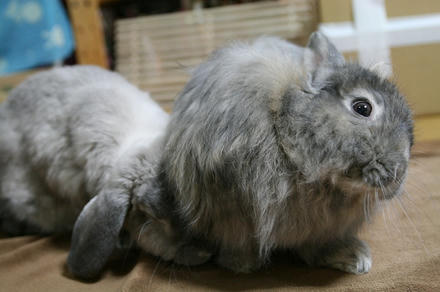 おかんたんだけ～！