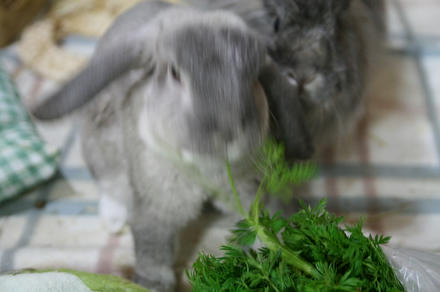 うまい！