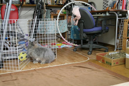模様替え