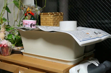 新しいのを