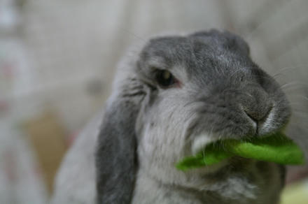 めっちゃ食べてるし