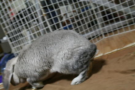 運動もしてるし