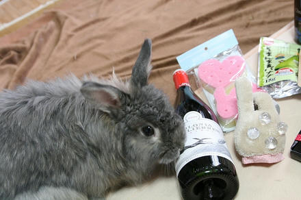 ラベルが