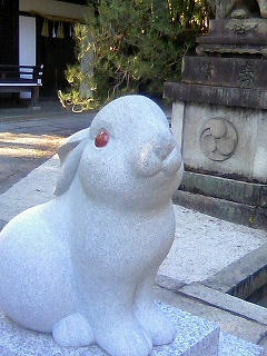 こまうさぎ２