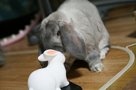 開運かぁ～