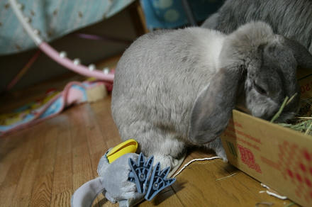たすけてぇ～