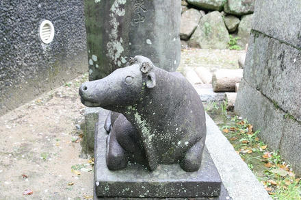 あちこちに