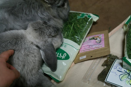 お土産
