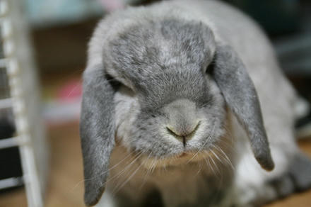 暑くなったな