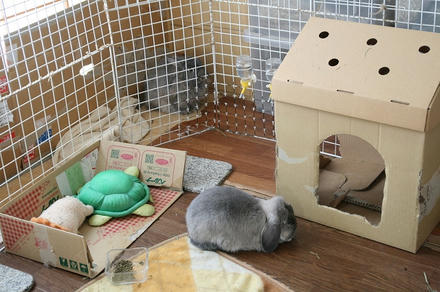風とおしたら