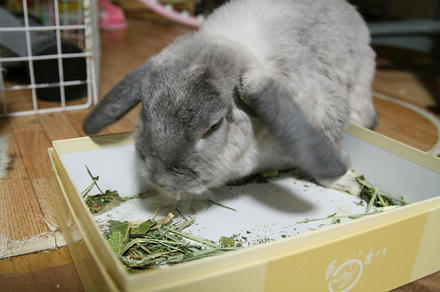 うお！