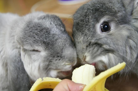 ふたりで食べたら