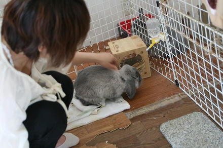 礼二郎くんの