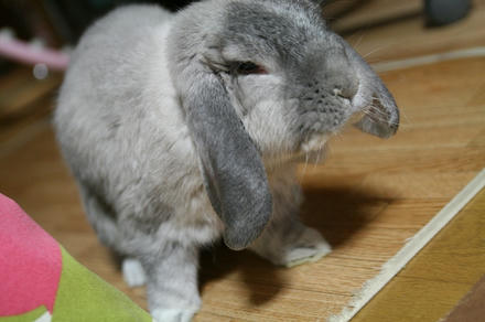 週末には